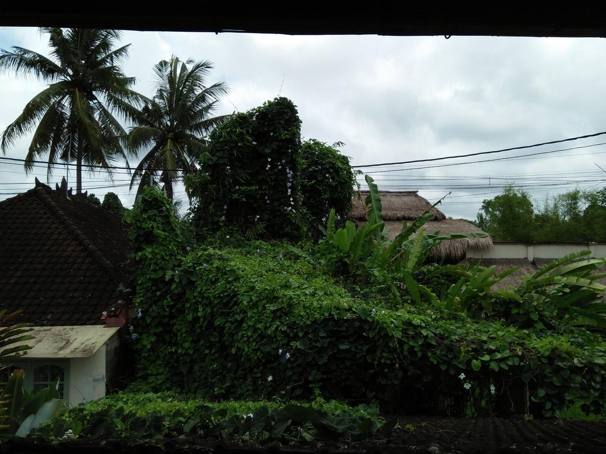 Villa Gaia Ubud Esterno foto